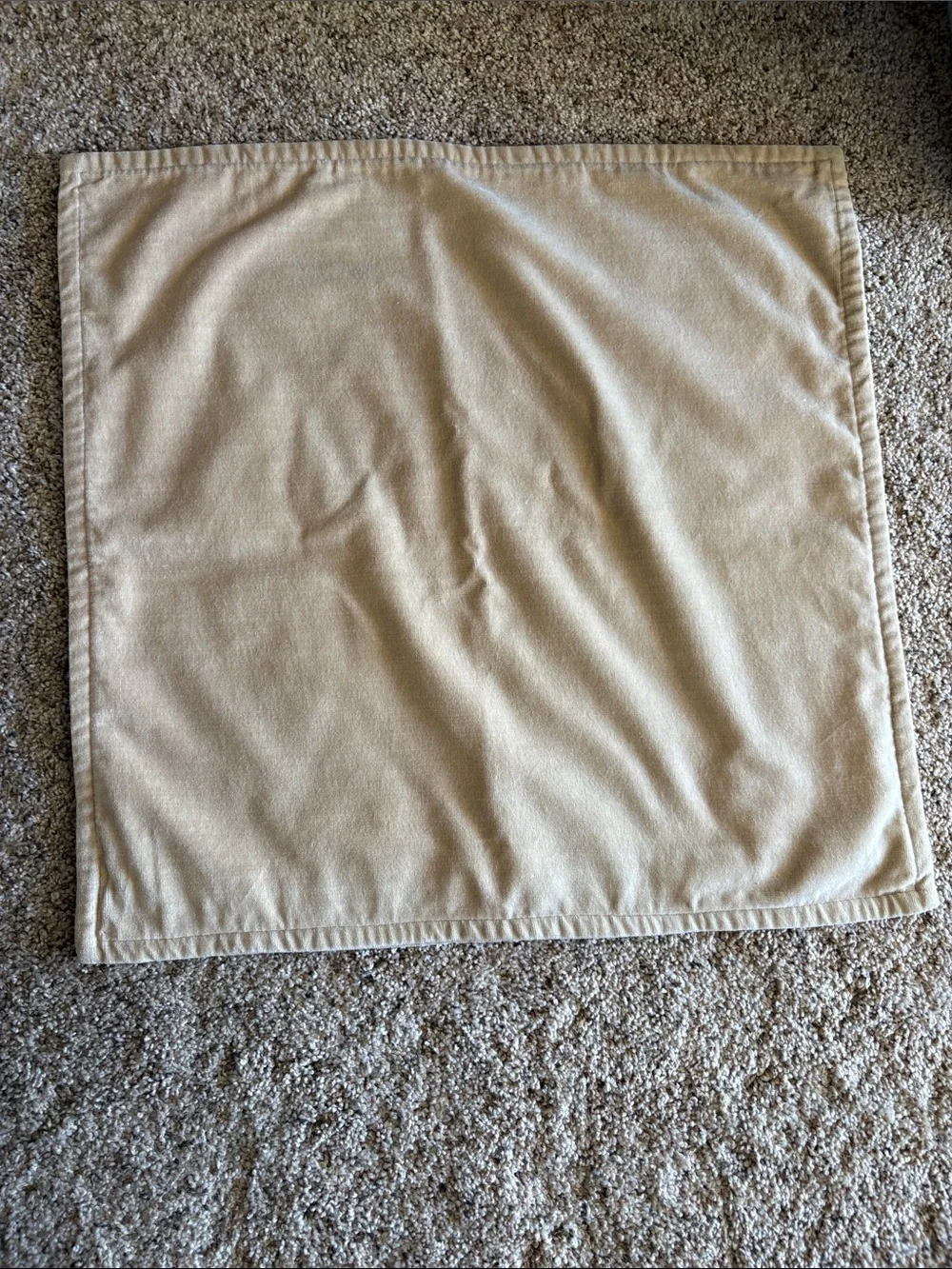 Pottery Barn Light Tan Velvet-Look Pillow Cover